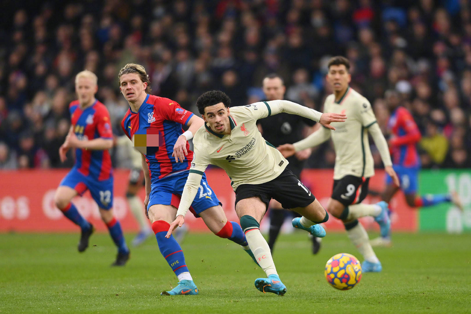 担任中国男 担任中国男